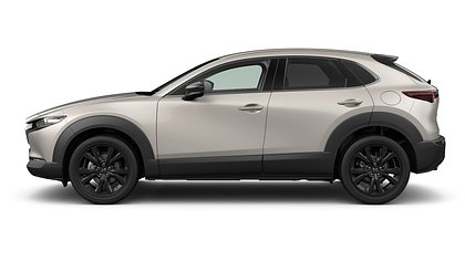 2025 NAUJI AUTOMOBILIAI Mazda CX-30 Platinum Quartz 2.5 M Hybrid e-Skyactiv G AT Nagisa (2)