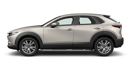 2025 NAUJI AUTOMOBILIAI Mazda CX-30 Platinum Quartz 2.5 M Hybrid e-Skyactiv G AT Centre-line (2)