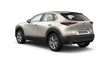 2025 NAUJI AUTOMOBILIAI Mazda CX-30 Platinum Quartz 2.5 M Hybrid e-Skyactiv G AT Centre-line (3)