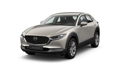 2025 NAUJI AUTOMOBILIAI Mazda CX-30 Platinum Quartz 2.5 M Hybrid e-Skyactiv G AT Centre-line (1)