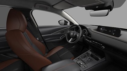 2026 NAUJI AUTOMOBILIAI Mazda CX-30 Platinum Quartz 2.5 M Hybrid e-Skyactiv G AT Nagisa (4)