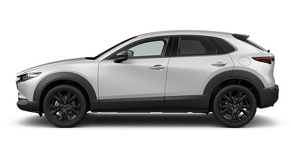 2026 NAUJI AUTOMOBILIAI Mazda CX-30 Ceramic 2.5 M Hybrid e-Skyactiv G AT Nagisa (2)
