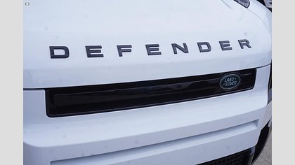 Defender 110 10