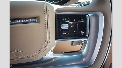 Range Rover 19