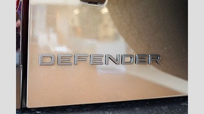 Defender 110 10